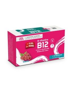 Sanavita B-Vitamins B12 Integratore Alimentare di B12, B6 e Zinco